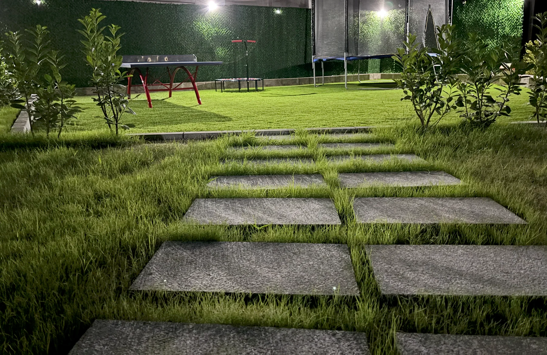 Garden in the evening
