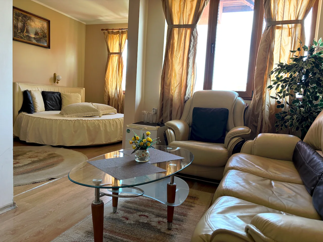 Room with living area